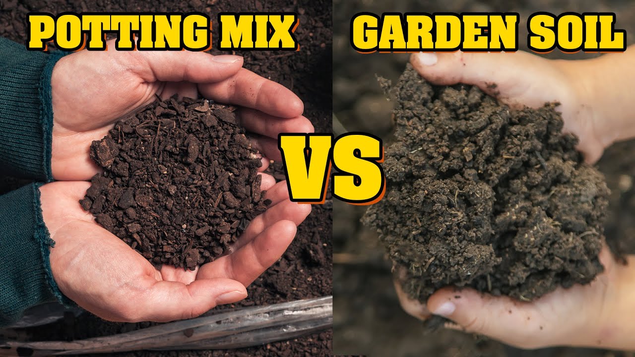 Potting Soil vs Potting Mix Article Overview